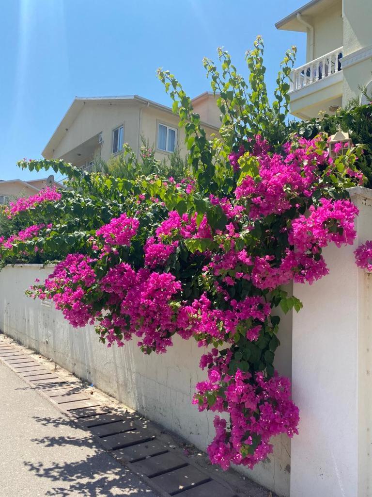 King Cleodora Garden Apartment Belek